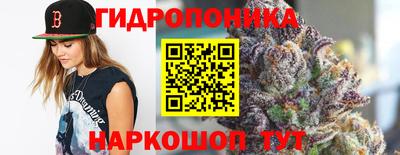 ГАЛЛЮЦИНОГЕННЫЕ ГРИБЫ Моздок