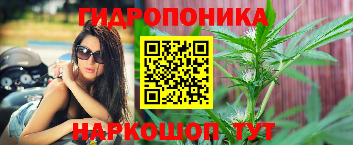 Бошки Шишки Ganja  Вход с VPN  Канабис конопля  Шишки марихуана VHQ  Бошки марихуана Ganja  Узловая 